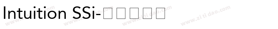 Intuition SSi字体转换